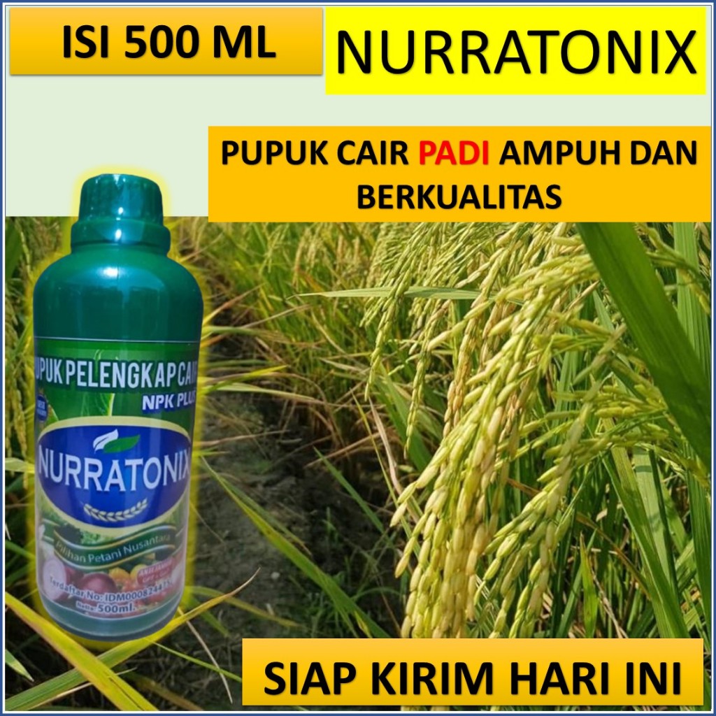 nurratonix 500 ML pupuk untuk memperbanyak anakan padi PALING BAGUS - pupuk untuk padi bunting TERBA