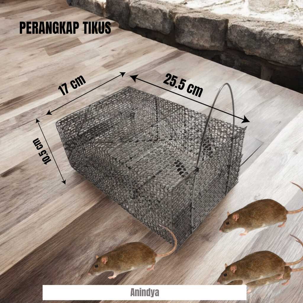 jebakan tikus/perangkap tikus tebal