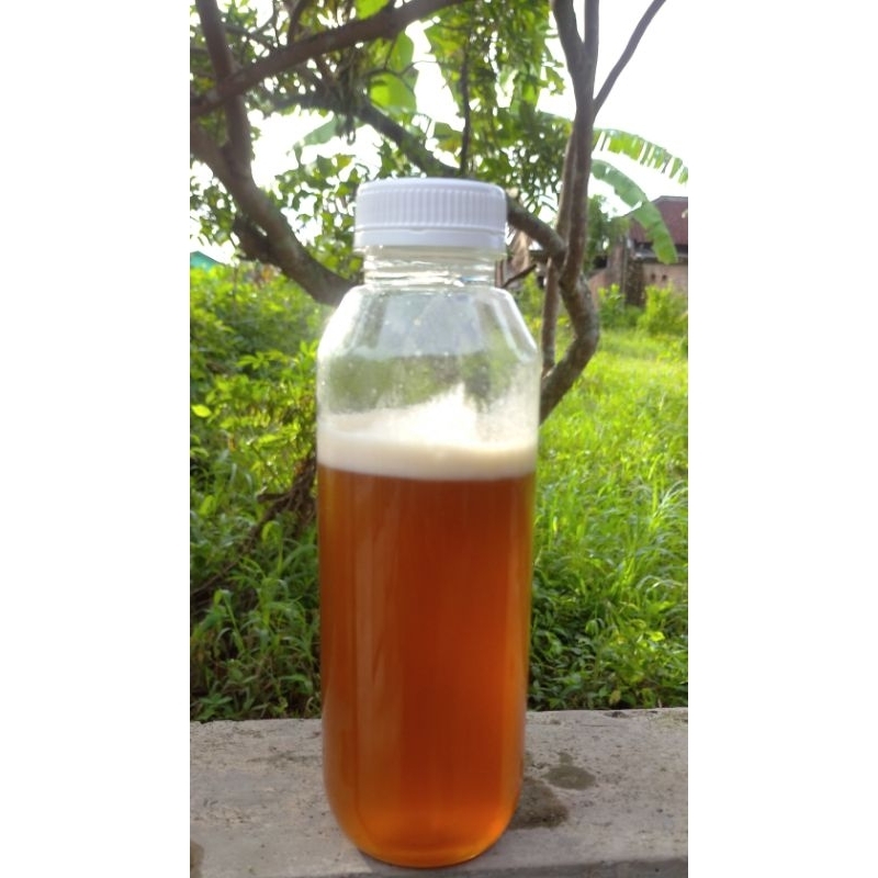 

madu hutan sumatera