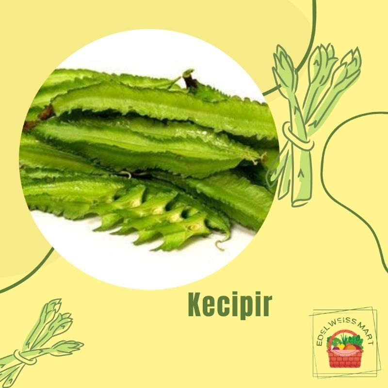

KECIPIR +-250g (FRESH) - INSTANT SEMARANG