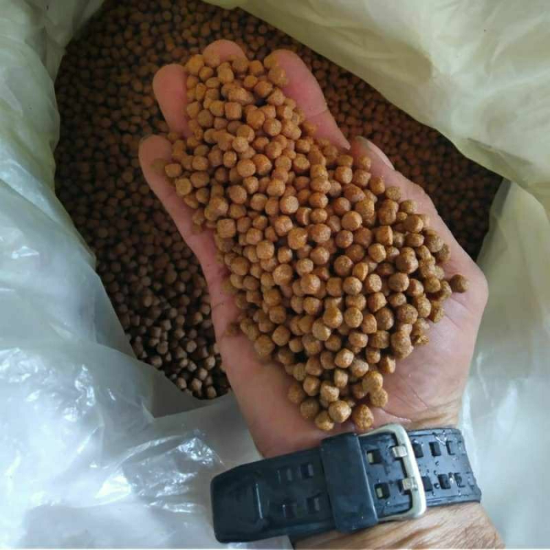 HI PRO VITE Pakan Ikan Lele 782 (-4) Pur Lele 782 MASA AKHIR BUDIDAYA Makanan Ikan