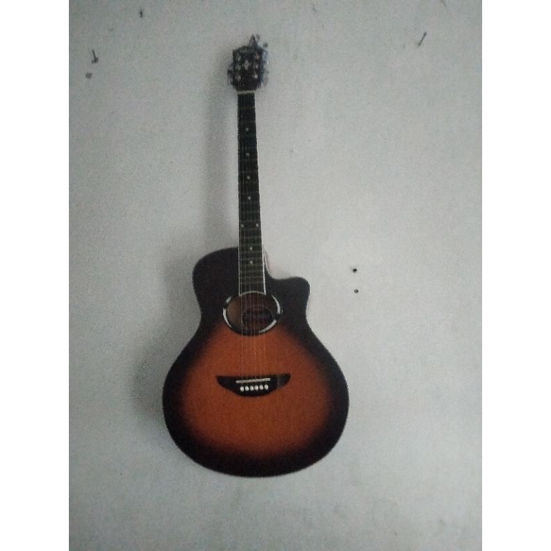 gitar akustik apx500