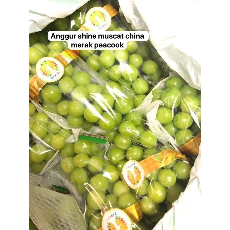 

anggur shine muscat peacok/kg