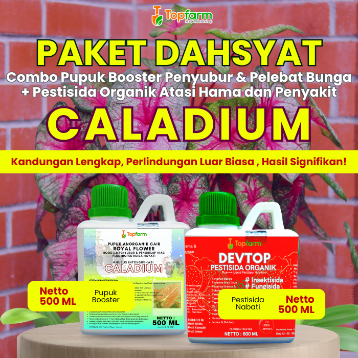 Pupuk Topfarm / Pestisida Topfarm / Pupuk Khusus Bunga Hias Keladi / Pupuk Daun Tanaman Hias / Pupuk
