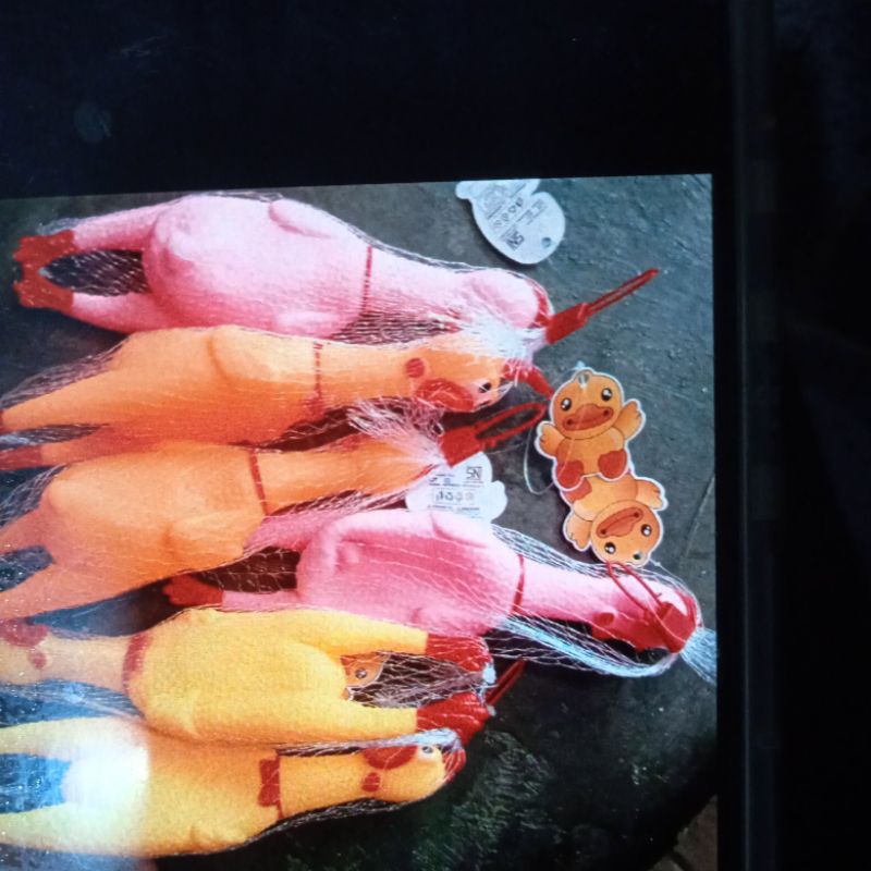 PROMO MAINAN AYAM BERKOKOK BISA BUNYI