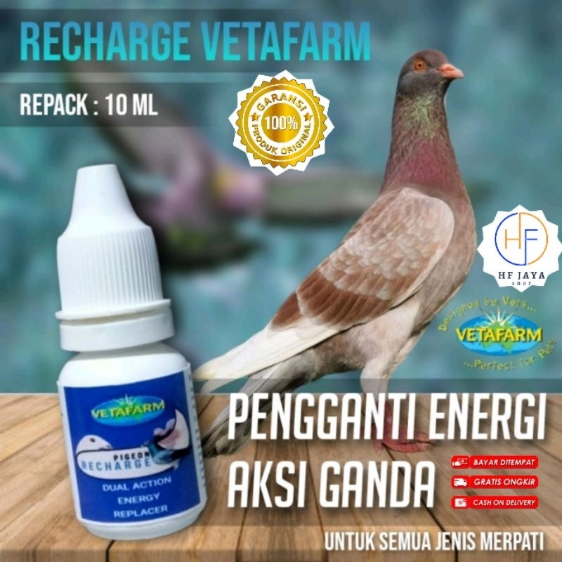 vetafarm recharge rebolit vitamin merpati import vetafarm