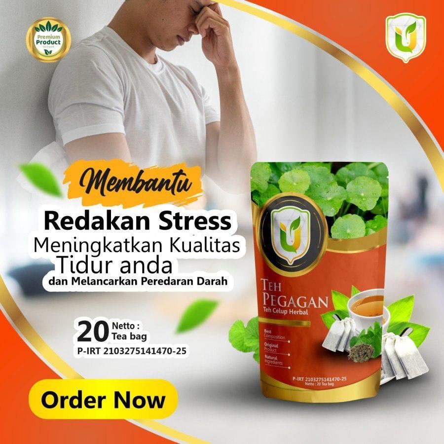 

Teh Celup Pegagan Premium Tradisional Organik