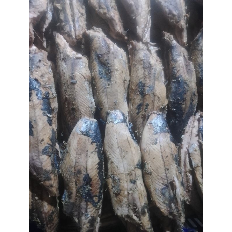 

Bantu Beri Makan Kucing Rescue Di Penampungan