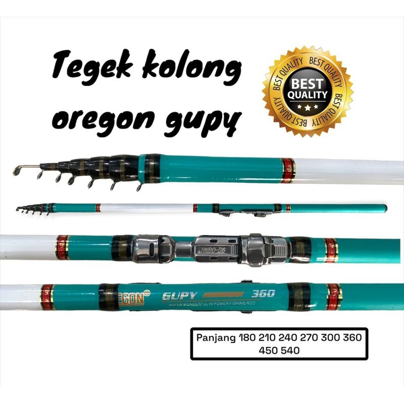 TEGEK KOLONG OREGON GHUPY