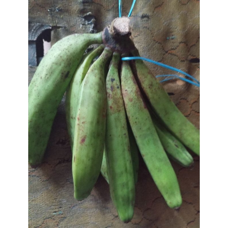 

PISANG TANDUK HIJAU ENAK DI BUAT OLAHAN