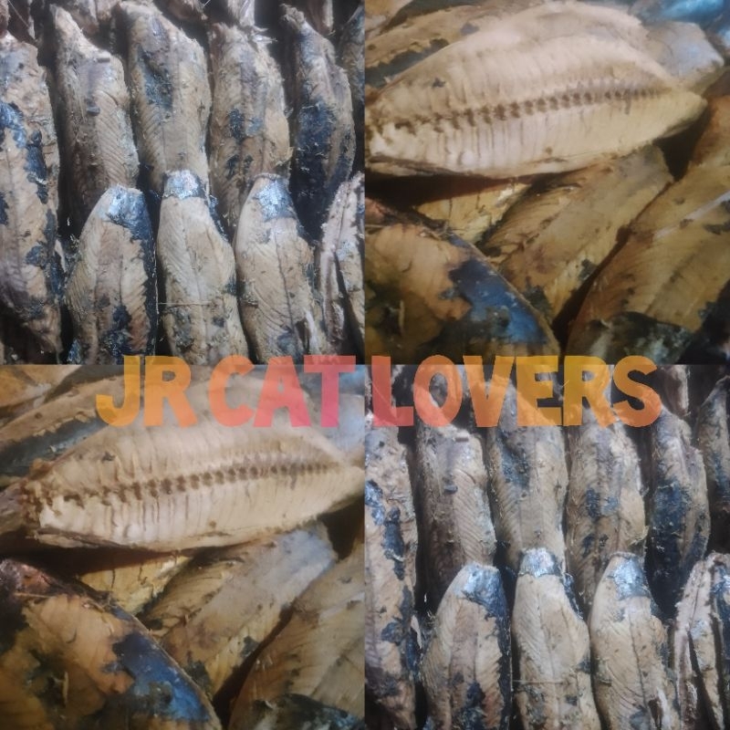 

Bantu Beri Makan Ikan Pindang Untuk 50 ekor Kucing