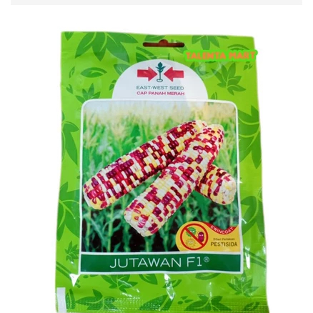 BENIH JAGUNG KETAN PELANGI JUTAWAN F1
