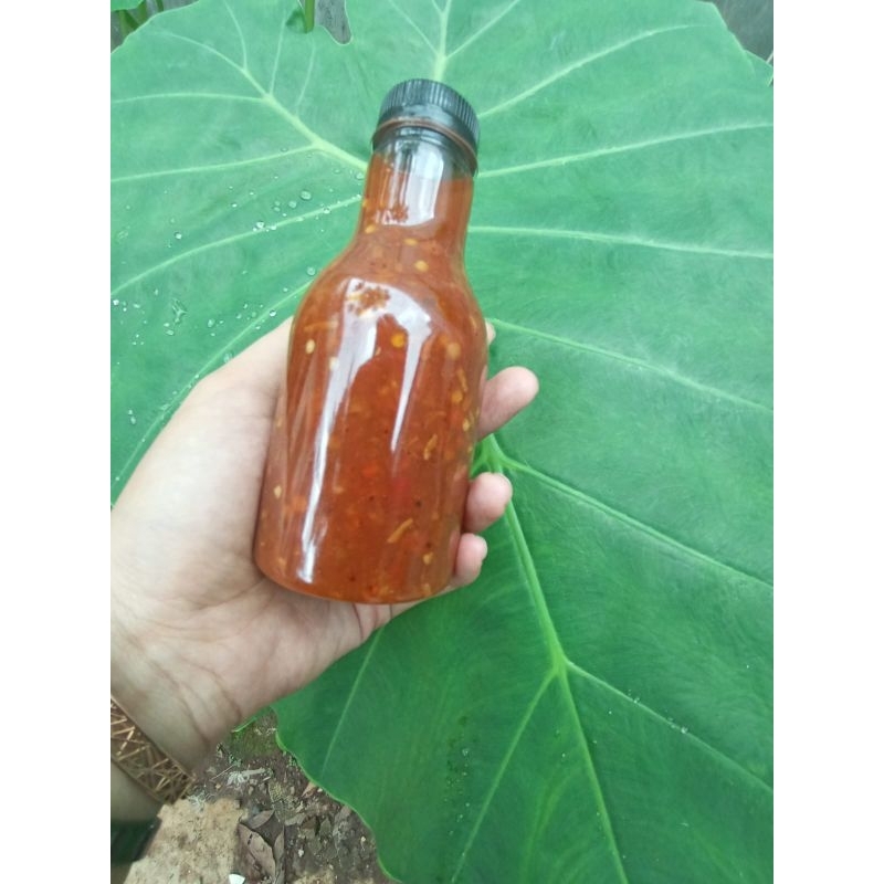 

chili oil