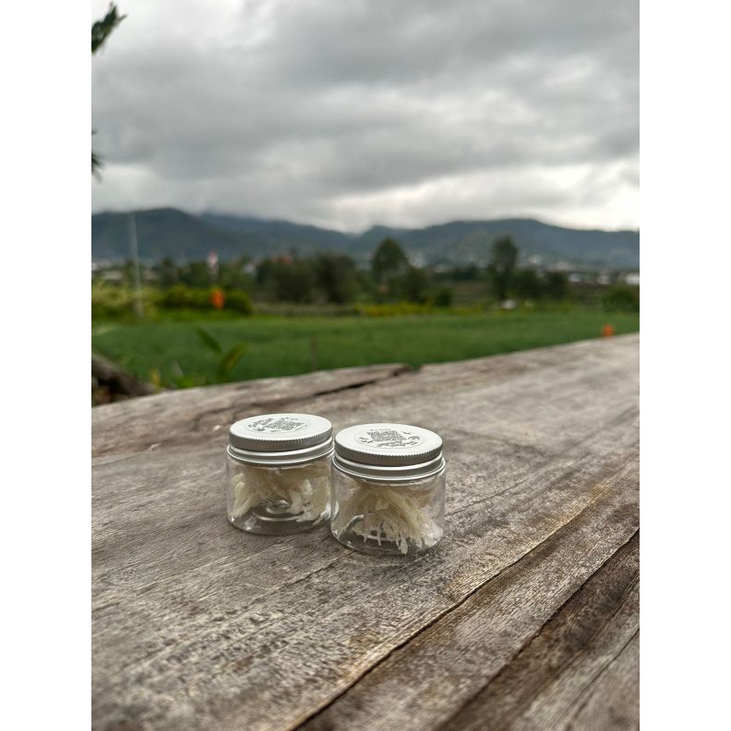 

sarang walet bersih 5 gram original siap konsumsi