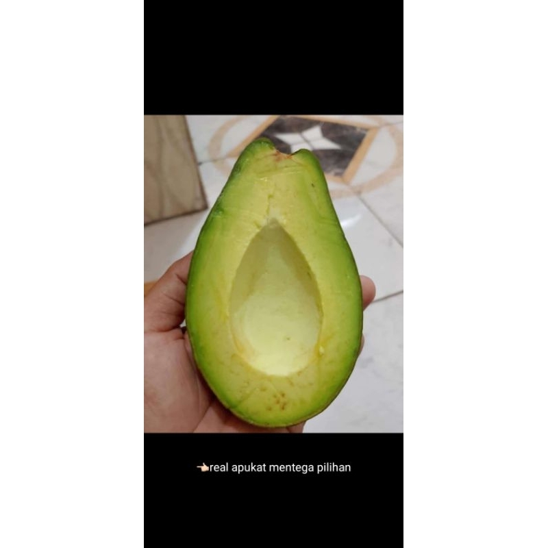 

alpukat mentega super isi 4/5