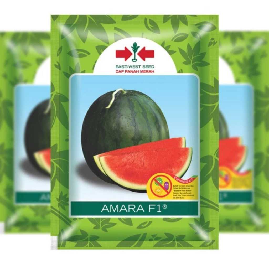Benih Bibit Semangka Non Biji Amara F1