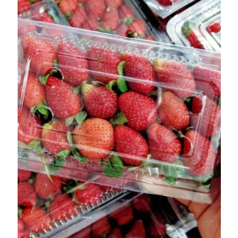 

Buah Strawberry 1 Paks