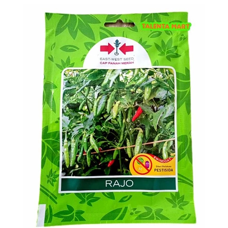 350 BUTIR BENIH CABE/CABAI RAWIT RAJO