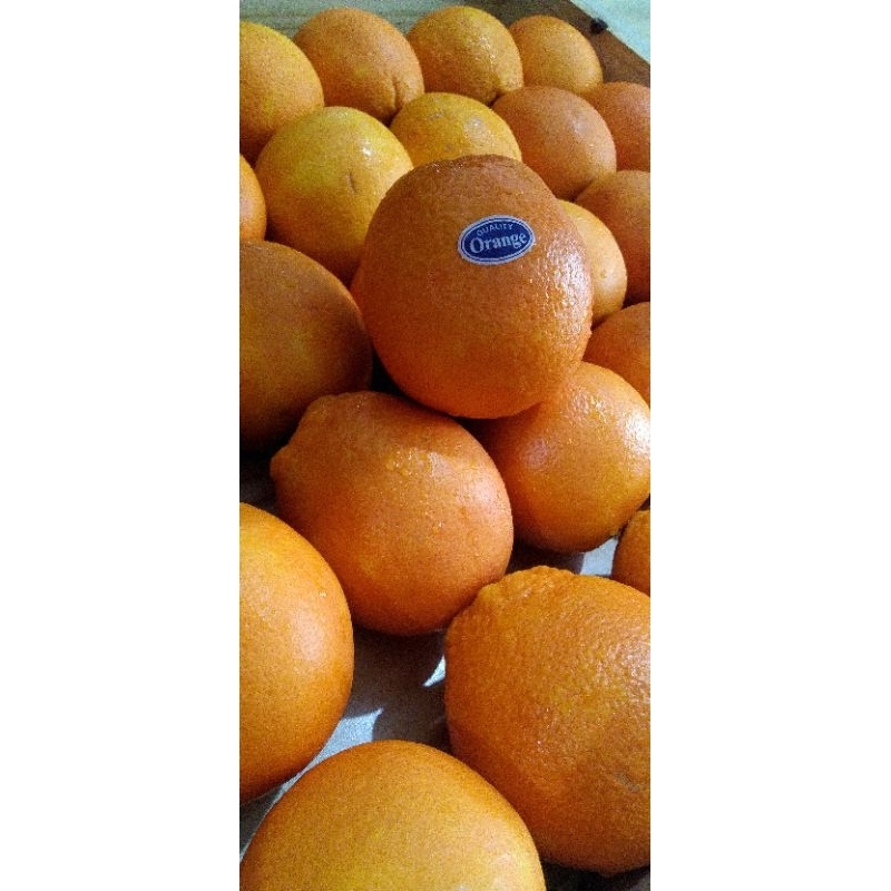 

Jeruk Sunkist Fresh (1kg)
