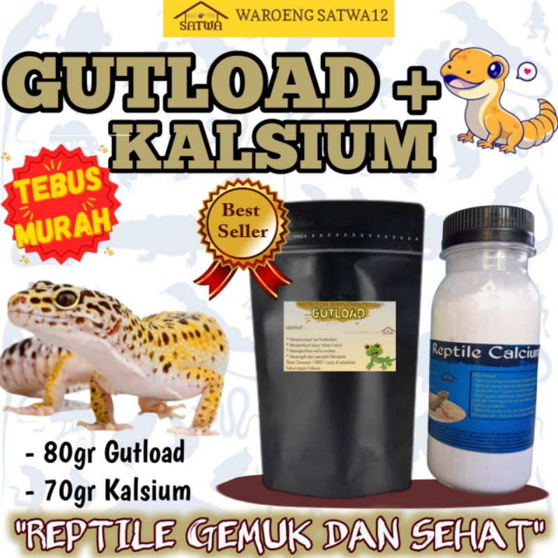 TEBUS MURAH  PAKET VITAMIN GECKO GEMUK SEHAT PANJANG GUTLOAD + KALSIUM REPTILE TOKEK LEOPARD GECKO B