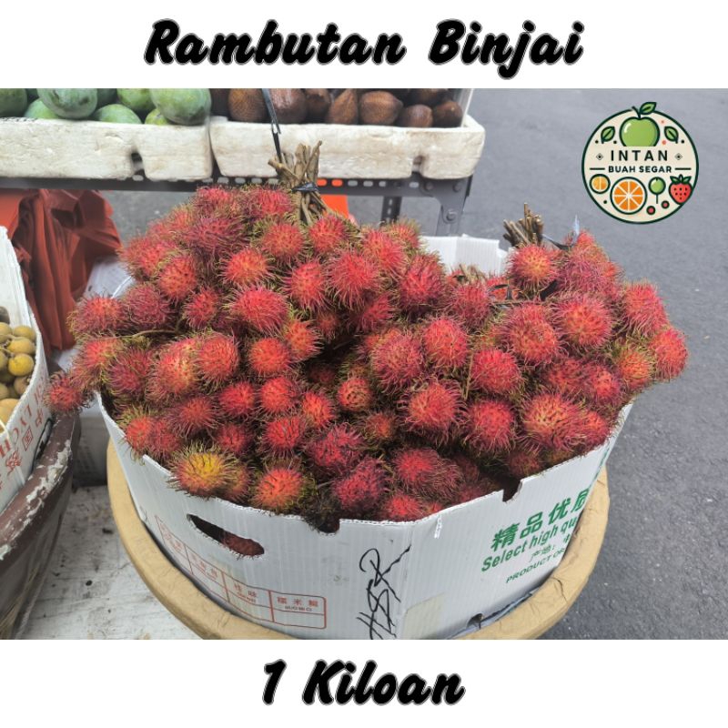

BUAH RAMBUTAN BINJAI 1KG FRESH MANIS ( buah rambutan nya ya kak, bukan bibit nya )