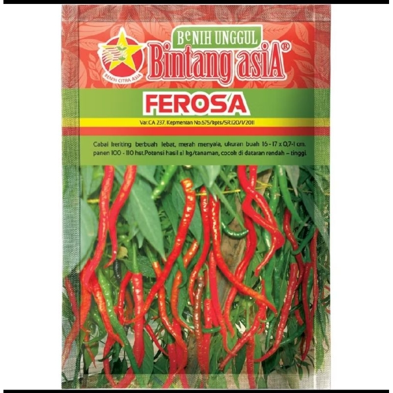CABAI MERAH KERITING FEROSA /BIBIT CABAI KERITING