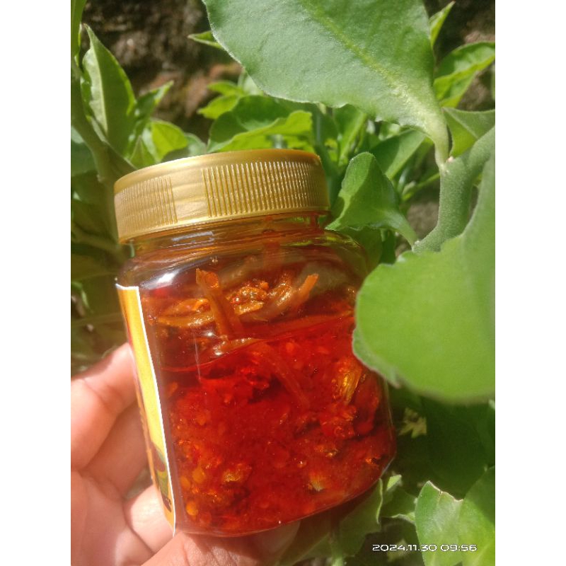 

SAMBEL TERI 150ml.200ml.300ml
