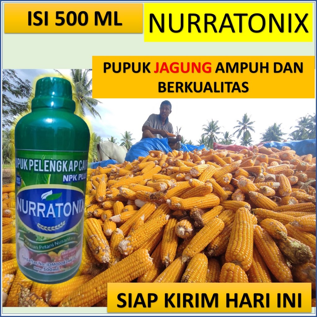 npk nurratonix 500 ML pupuk Jagung terbaik Lebih Berbobot, Pupuk NPK Cair Paling ampuh - pupuk untuk