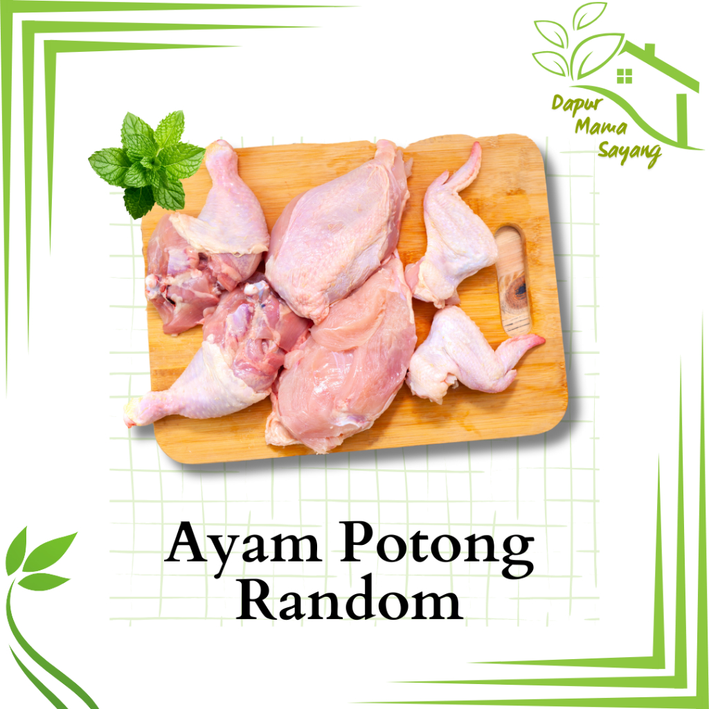 

Ayam Potong Random / ayam potong / ayam segar potong / ayam potong Sidoarjo Surabaya