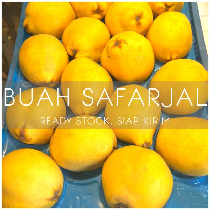 

Buah safarjal perbuah readystok 16 juli