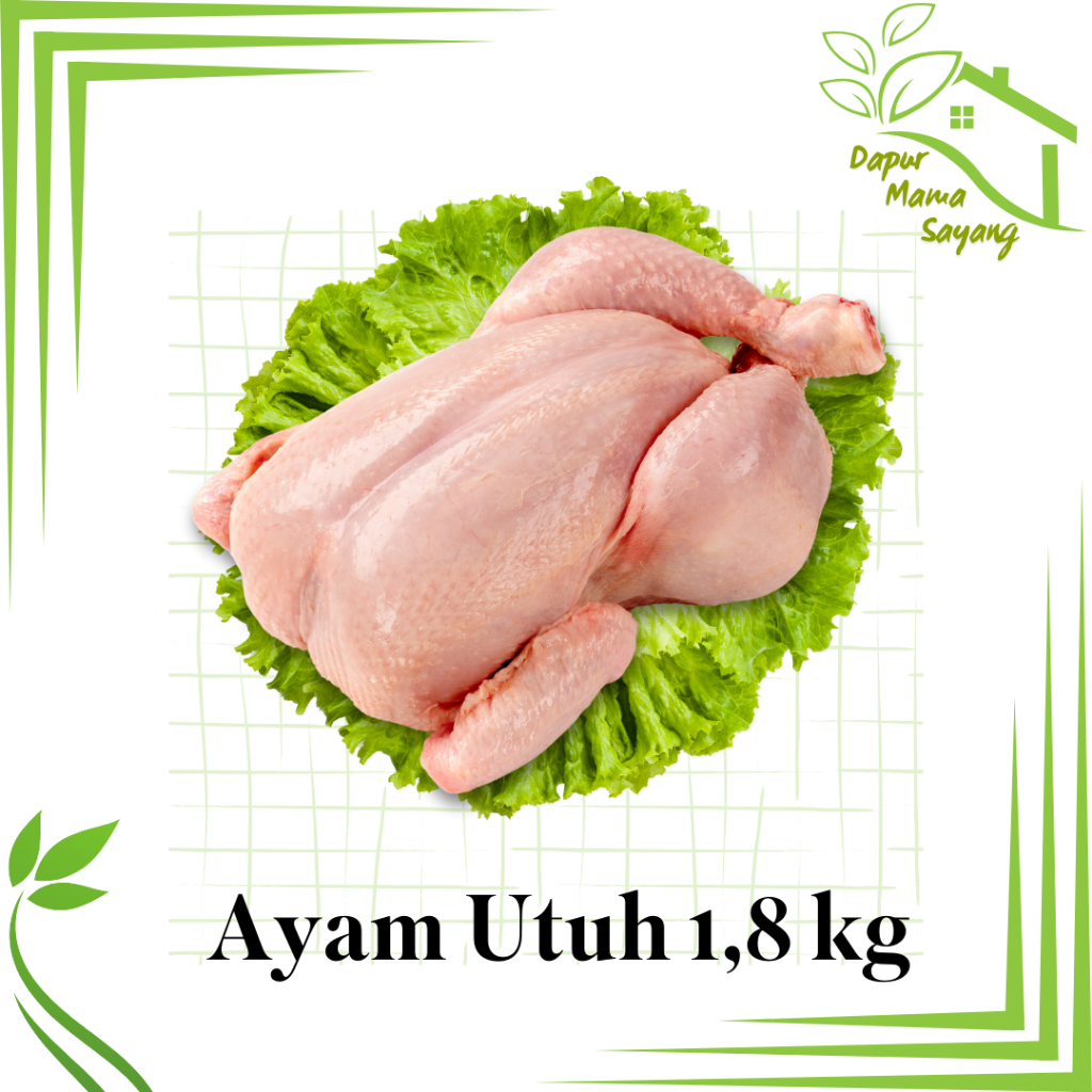 

Ayam Utuh 1,8 Kg / ayam utuh / ayam segar / ayam segar Sidoarjo Surabaya