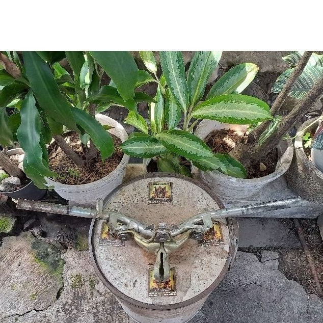 stang jupiter z1 jupiter z robot ORIGINAL stang stir jupiter z1 stang yamaha jupiter z1