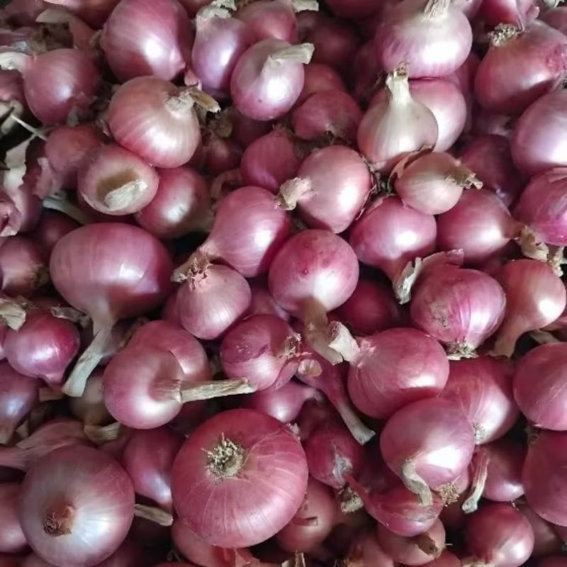 

Bawang Merah 1kg Campuran Besar Tanggung Kecil Kering Asli Produk Lokal Demak