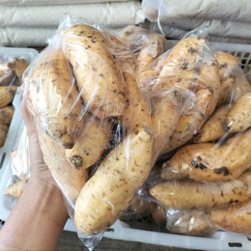 

Ubi Cilembu 1kg