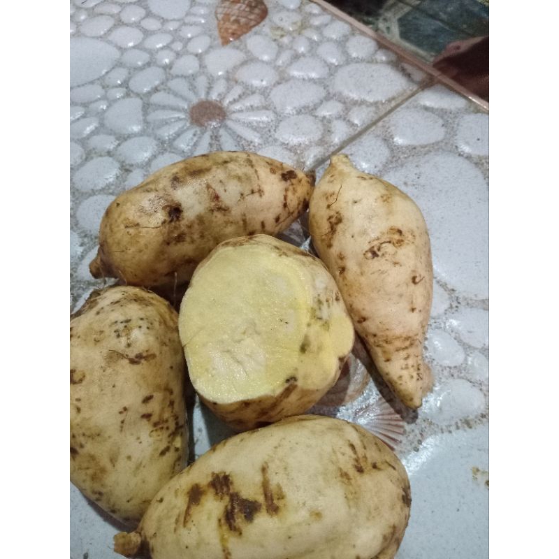 

ubi lokal pulen perkg murah meriah