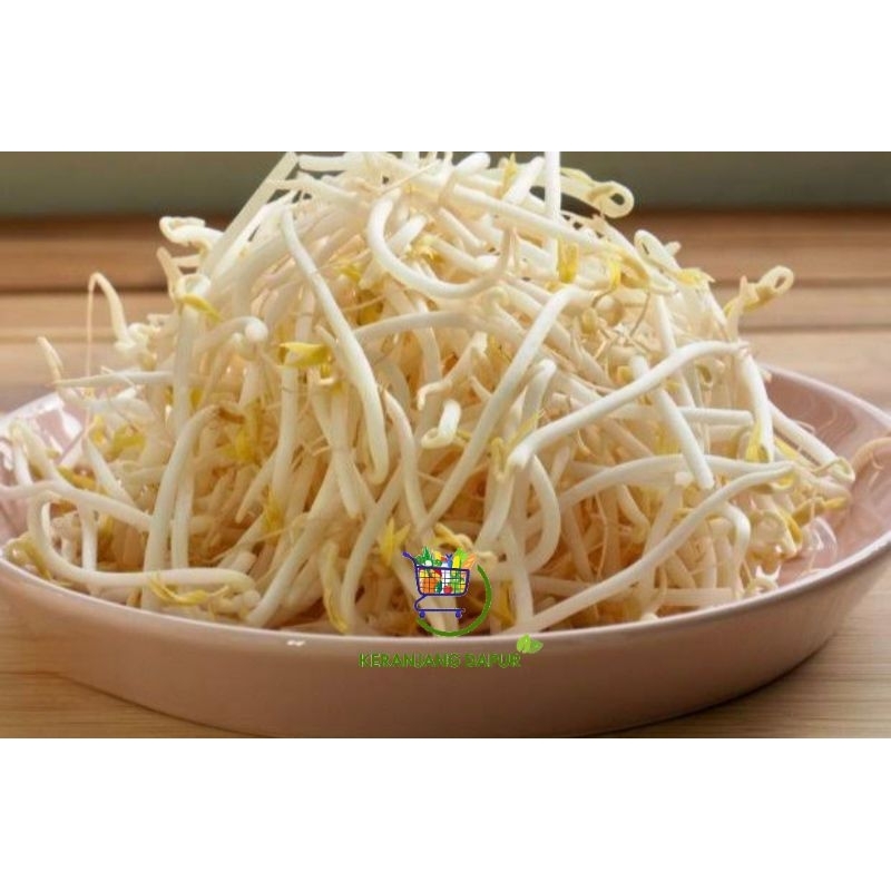 

Toge/ tauge 250gram - 1kg