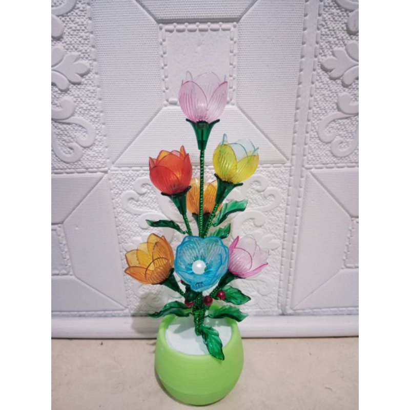 Bunga tulip rainbow akrilik
