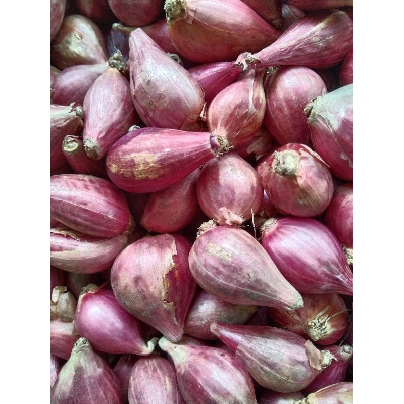 

Bawang merah UK kecil sedang