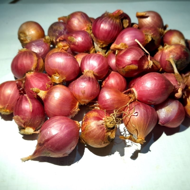 

Bawang merah sedeng campur kecil termurah premium