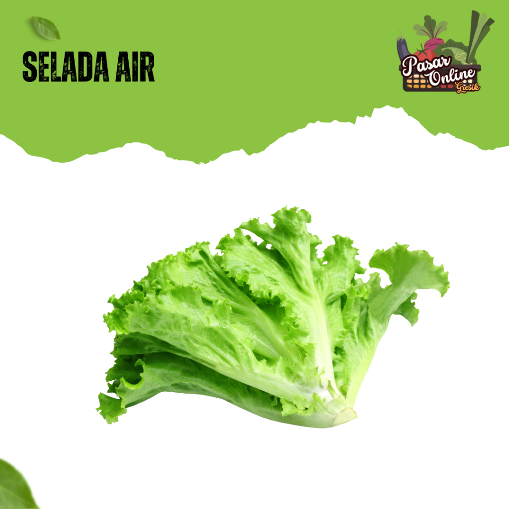 

SELADA AIR / SELADA KERITING - 250GR