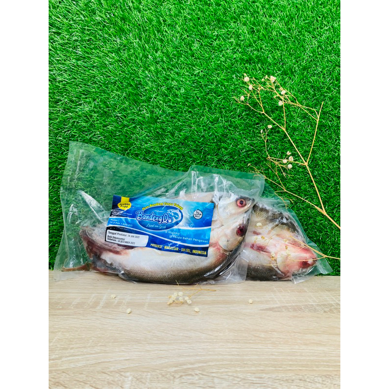 

Ikan Bandeng Tanpa Tulang