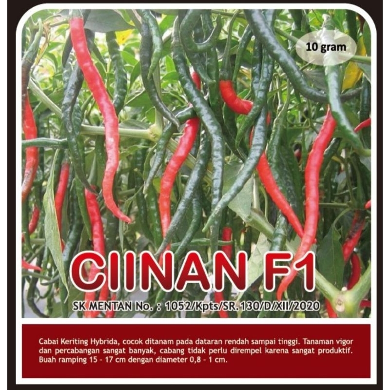

Cabai Keriting CIINAN F1