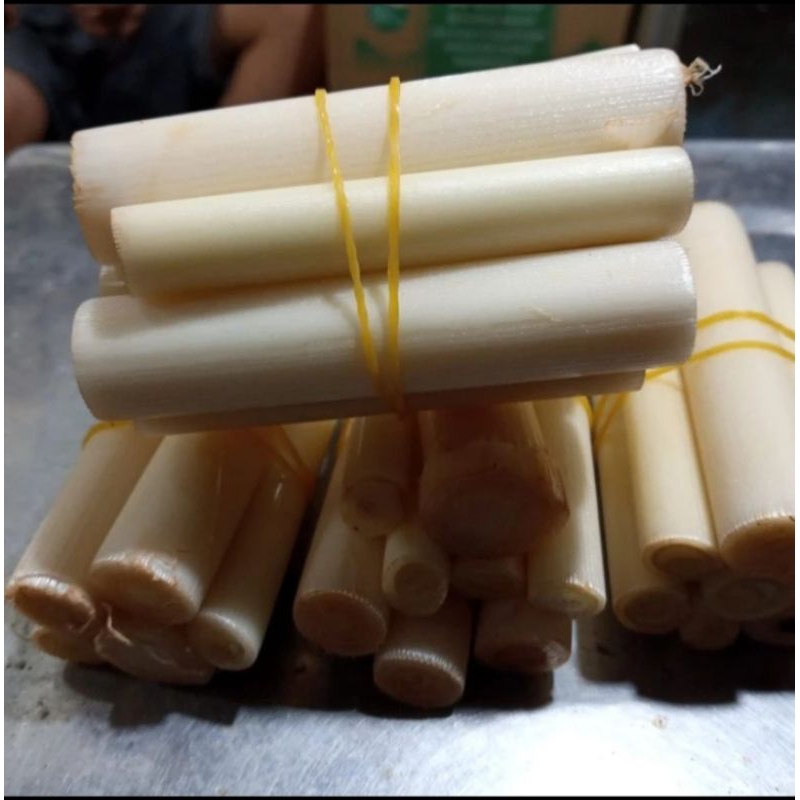 

BATANG KECOMBRANG MUDA 1KG