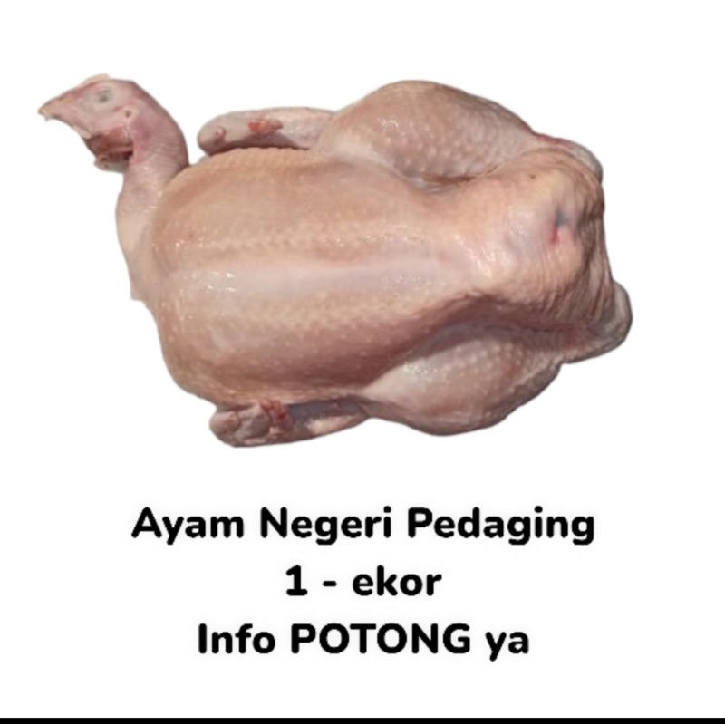

Ayam Ekoran Utuh berat 900gram - 1kg, 0,9-1kg