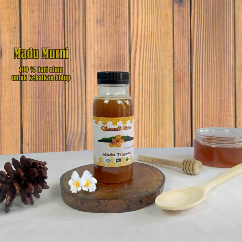 

Madu Premium Trigona 100 Ml Full Propolis Beebread Klanceng Garansi Asli Murni
