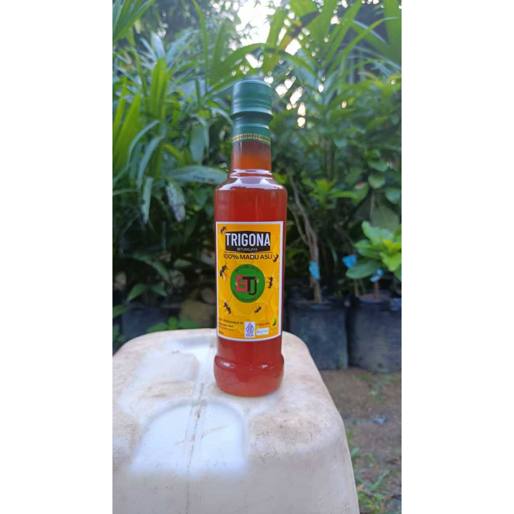 

Madu Trigona/Klanceng 100% asli