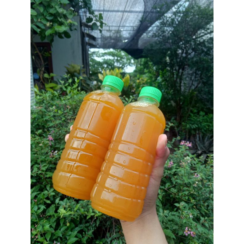 

JEAMU || KUNYIT ASAM 500ml || JAMU KUNYIT ASAM || MINUMAN JAMU MURAH BERKUALITAS