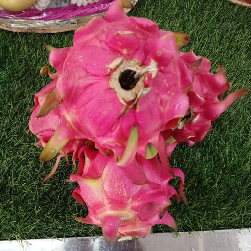 

Buah Naga Merah Satuan manis 500 G