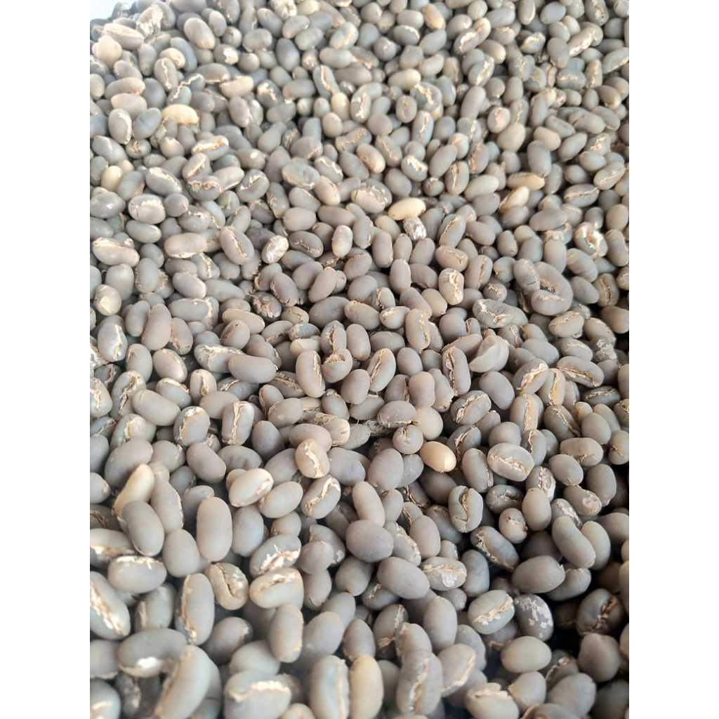 

Gayo Taste - Arabica coffee bean (PEABERRY) 1 KG