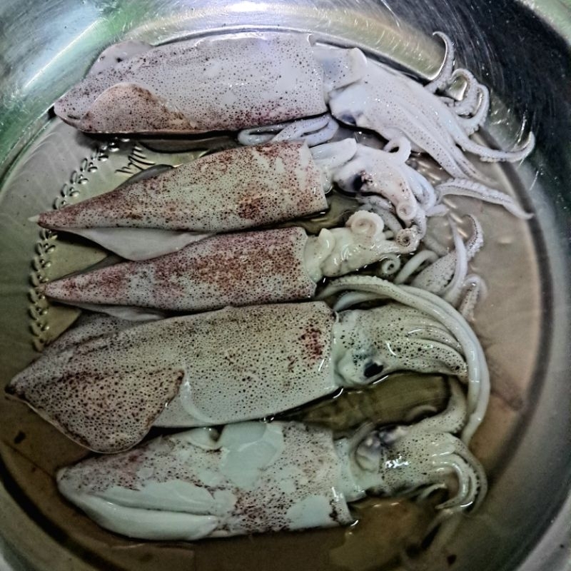 

Cumi-Cumi Fresh 2Ons